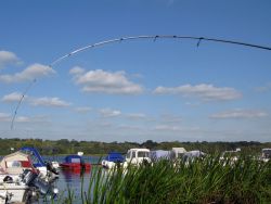 img_4859.jpg