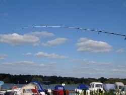 img_4863.jpg